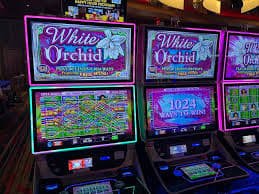 Teen Patti Online bernuansa kartu